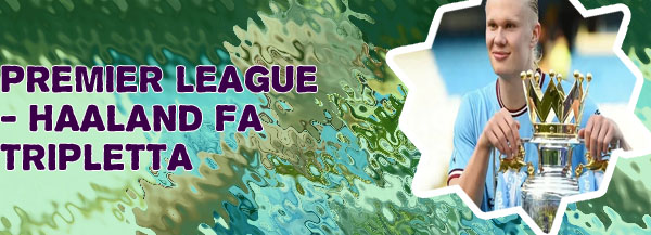 Premier league haaland